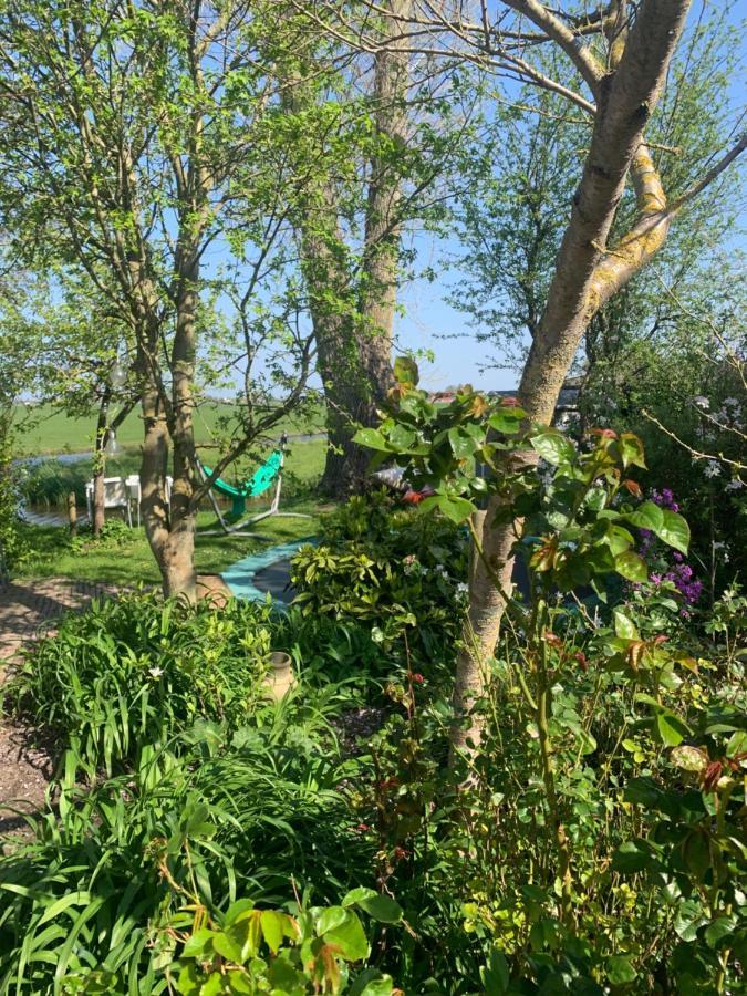 Very Nice Cottage In Durgerdam, With Private Garden, Free Parking, Pets Allowed Amsterdam Dış mekan fotoğraf